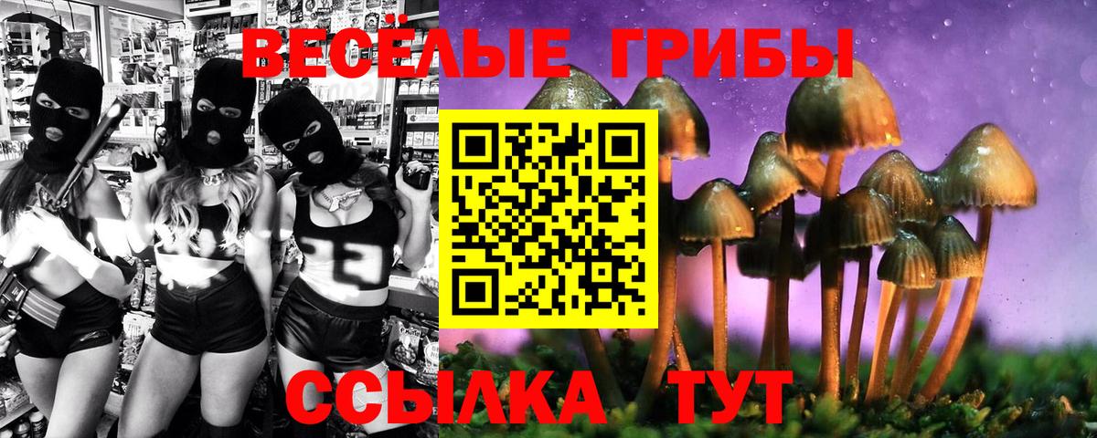 Псилоцибиновые грибы ЛСД  Вход с VPN  Казань 